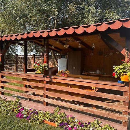 Casa Carp Calarasi Hotel Exterior photo